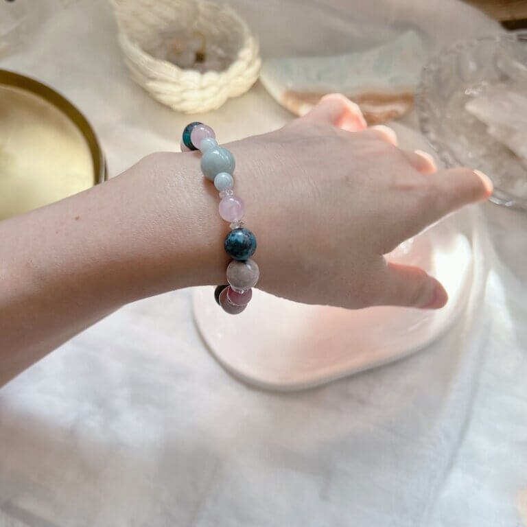 BL810008